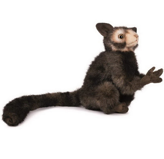 Peluche Aye-aye 20cm