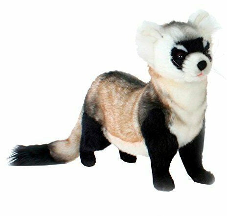 Peluche Furet pattes noires 40cm