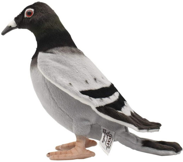 Peluche Pigeon 29cm