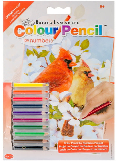 Mini crayon de couleur à numéros cardinaux